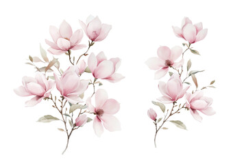 Fototapeta premium Watercolor Illustration Magnolia Bouquet. Botanical illustration for invitation and social media.