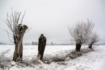 Piękno zimowego krajobrazu, Podlasie, Polska