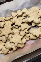 christmas gingerbread cookies