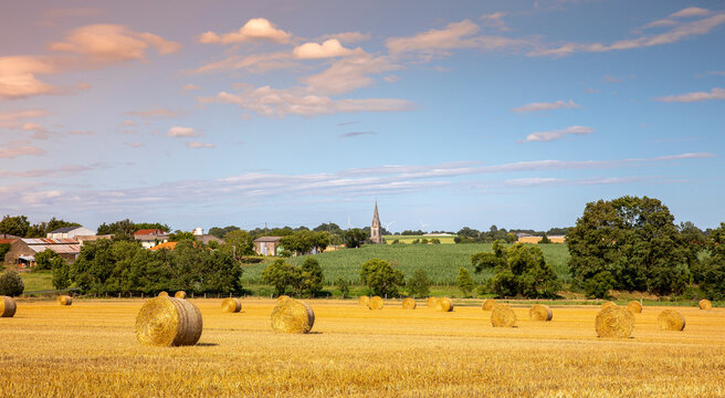 Paysage en campagne au milieu des champs de bl&eacute; et des balles de paille apr&egrave;s la moisson en &eacute;t&eacute;.