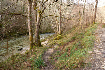 Peaceful nature trail along Rio Dobra towards the stunning Olla de San Vicente in Asturias