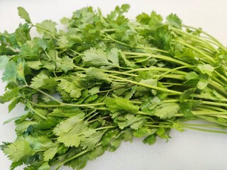 coriander leaves isolated on white