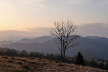 Great Fatra Slovakia mountains winter
