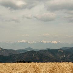 Great Fatra Slovakia mountains winter