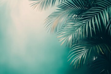 Tropical palm tree leaves creating relaxing summer background