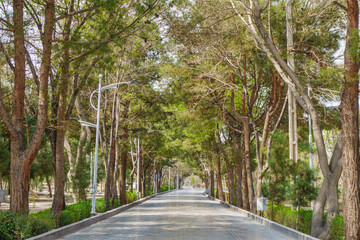 Park street in Isfahan, Iran. It's early morning and there's no one around yet