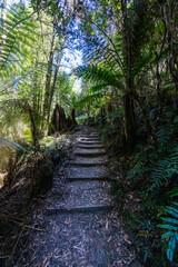 Donaghys Hill in Tasmania Australia