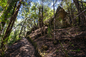 Donaghys Hill in Tasmania Australia