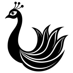 black and white swan