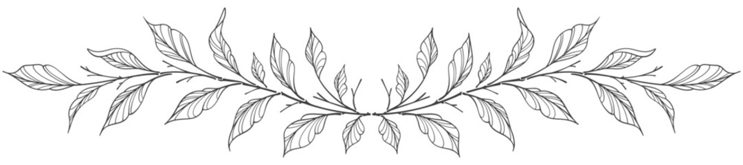 Line art floral botanical on transparent background vector. floral, leaves, foliage, branches in hand drawn. Floral element design