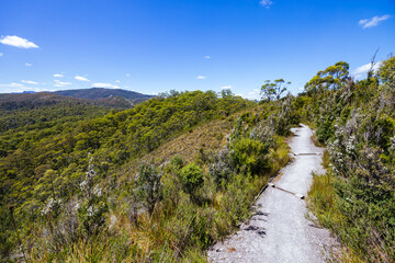 Donaghys Hill in Tasmania Australia