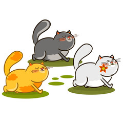 three cats red white and gray no background