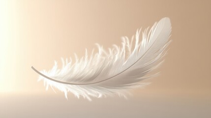Obraz premium White Feather Floating on a Tan Background