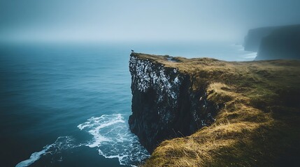 Solitary bird perched on dramatic coastal cliff overlooking ocean