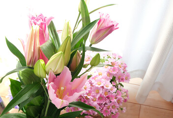 日の当たる窓際に置いたピンク色のユリの花