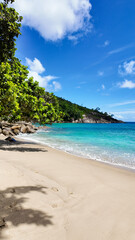 Shady sandy beach with clear turquoise water and overhanging lush green tree branches under a bright blue sky. Anse Major. Seychelles, Mahe.