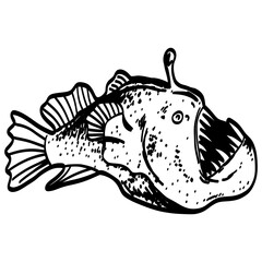Angler Fish with Glowing Lantern Sea Creature Cartoon Outline Drawing Illustration