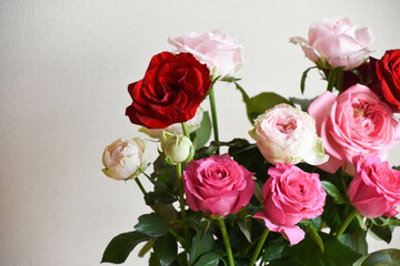 カラフルなばら