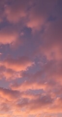 Obraz premium Beautiful Pink Cloudy Sky Evening Display Perfect for Phone Wallpaper