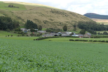 A lush green valley stretches between rolling hills. 