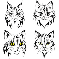 Cat Head Illustration