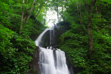 青森県　奥入瀬渓流　滝