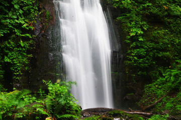 勢いよく落ちる滝