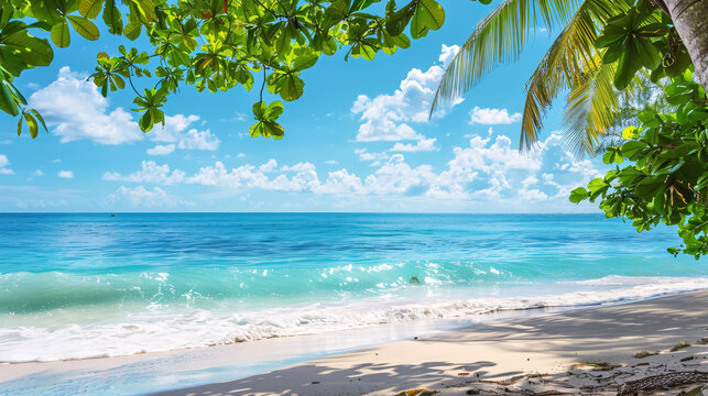 Fototapeta beach and tropical sea