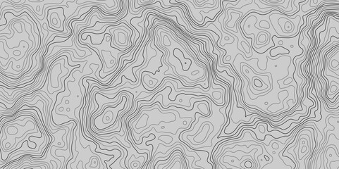 Vector grid map.Topographic contour map on white background.