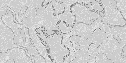 Geographic grid, vector abstract.Background of the topographic map.Topographic map lines, contour background. 
