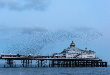 Fototapete bei efototapeten.de bestellen   