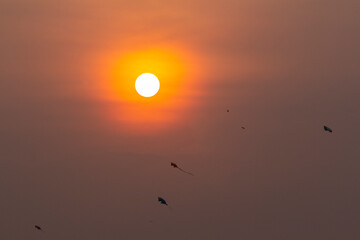 Kite is flying on the orange sunset sky 