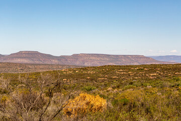 Landscape on the Rooibos Heritage Route north of Dooringbos in the Northern Cape of South Africa