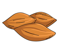 Cute cartoon hand drawn vector almonds illustration.