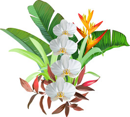 Bouquet of tropical flowers. Hibiscus, orchid, paradise flowers. exotic, tropical