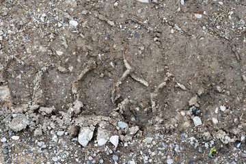 Close-up of a muddy tire track on a gravel surface
