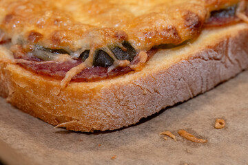 Close-up of a toasted sandwich with melted cheese
