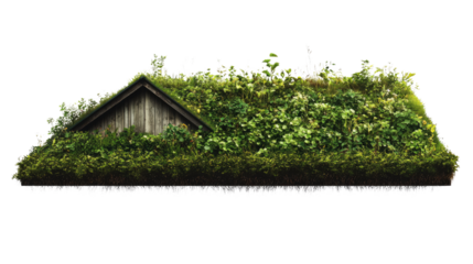 Green Roof Oasis: A unique eco-friendly building showcases a vibrant, thriving green roof, offering a tranquil and sustainable design.