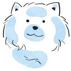 Samoyed 