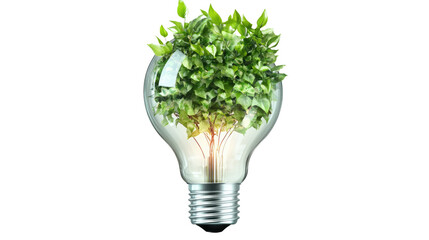 Eco-Innovation: A light bulb, symbolizing ideas, is reimagined with vibrant plant life inside, conveying environmental consciousness and the fusion of nature and innovation. 