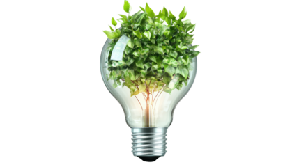 Eco-Innovation: A light bulb, symbolizing ideas, is reimagined with vibrant plant life inside, conveying environmental consciousness and the fusion of nature and innovation. 