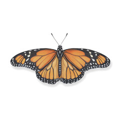 Obraz premium Vintage orange and black monarch butterfly with elegant wings in a classic artistic nature design.
