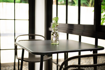 Golden Pothos plant planted in a clear glass jar filled with water. Placed on a cafe table as a decoration to add to the natural atmosphere
