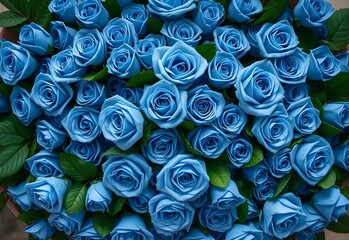 an enlarged picture of a blue rose