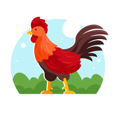 colorful rooster