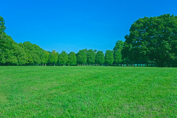 緑の公園