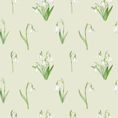 Seamless pattern with snowdrops