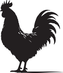 Chicken vector Shilhouette, Chicken vector shilhouette with white background. 