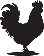 Chicken vector Shilhouette, Chicken vector shilhouette with white background. 