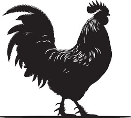 Chicken vector Shilhouette, Chicken vector shilhouette with white background. 